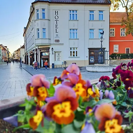 Domus Collis Hotel