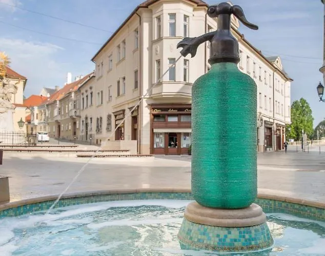 Domus Collis 호텔 기오르