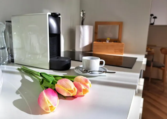 Hotel Domus Collis Gyor